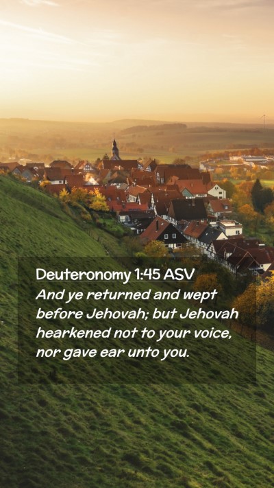 Picture 02 - Deuteronomy 1:45 ASV Mobile Phone Wallpaper - And ye returned and wept before Jehovah; but - Mobile Bible Verse Wallpaper
