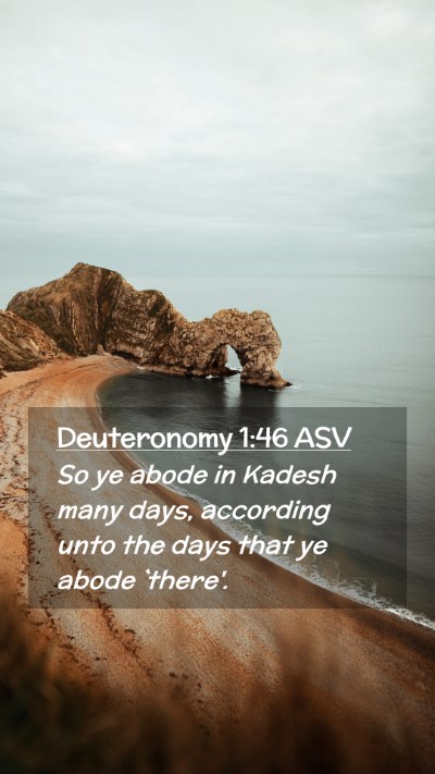 Picture 02 - Deuteronomy 1:46 ASV Mobile Phone Wallpaper - So ye abode in Kadesh many days, according unto - Mobile Bible Verse Wallpaper