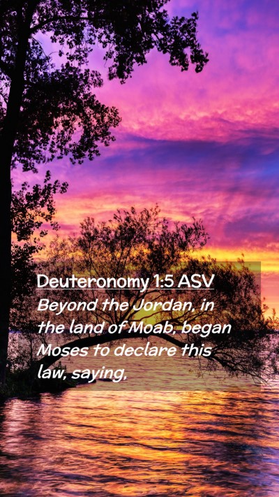 Picture 02 - Deuteronomy 1:5 ASV Mobile Phone Wallpaper - Beyond the Jordan, in the land of Moab, began - Mobile Bible Verse Wallpaper