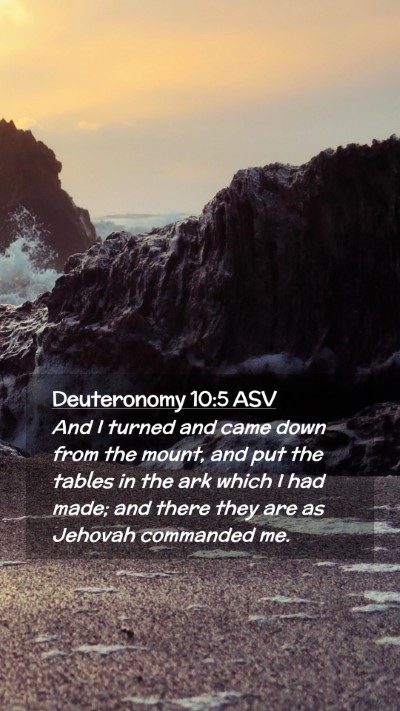 Picture 02 - Deuteronomy 10:5 ASV Mobile Phone Wallpaper - And I turned and came down from the mount, and - Mobile Bible Verse Wallpaper