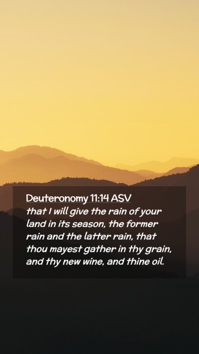 Picture 02 - Deuteronomy 11:14 ASV Mobile Phone Wallpaper - that I will give the rain of your land in its - Mobile Bible Verse Wallpaper