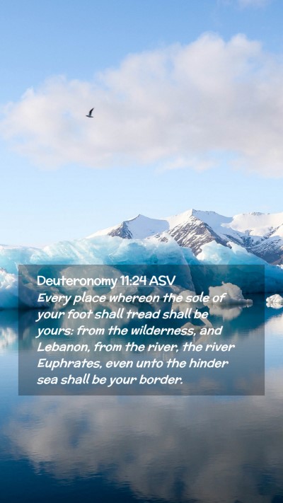 Picture 02 - Deuteronomy 11:24 ASV Mobile Phone Wallpaper - Every place whereon the sole of your foot shall - Mobile Bible Verse Wallpaper