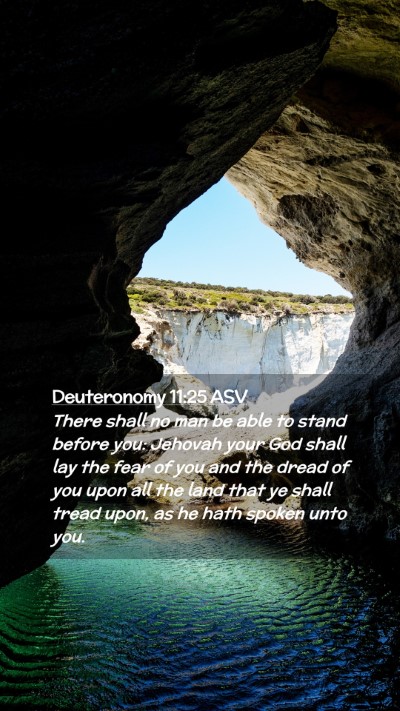 Picture 02 - Deuteronomy 11:25 ASV Mobile Phone Wallpaper - There shall no man be able to stand before you: - Mobile Bible Verse Wallpaper