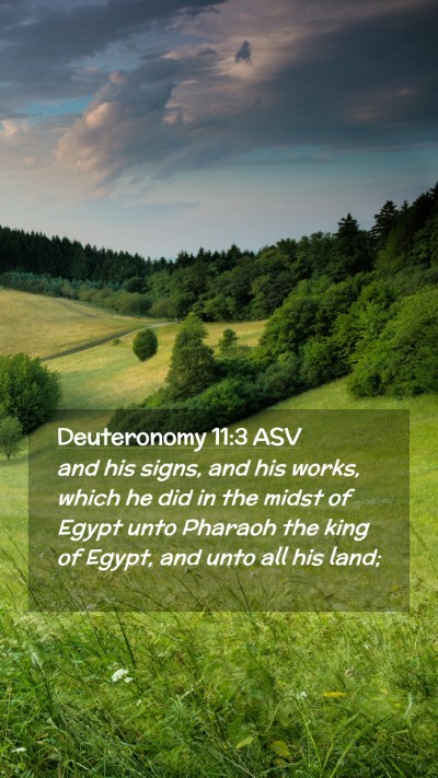 Picture 02 - Deuteronomy 11:3 ASV Mobile Phone Wallpaper - and his signs, and his works, which he did in the - Mobile Bible Verse Wallpaper