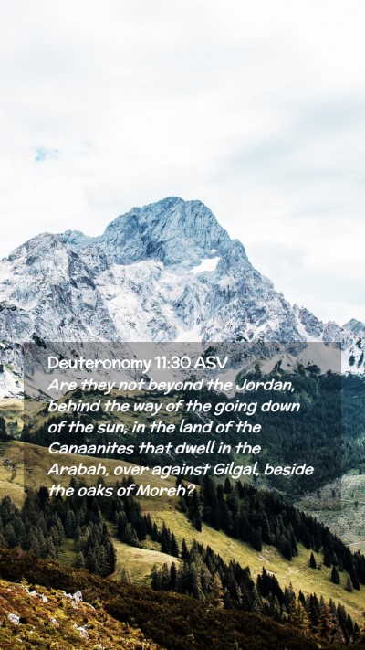 Picture 02 - Deuteronomy 11:30 ASV Mobile Phone Wallpaper - Are they not beyond the Jordan, behind the way of - Mobile Bible Verse Wallpaper