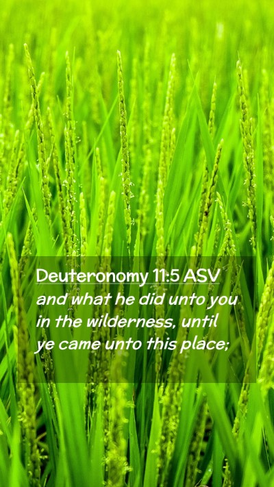 Picture 02 - Deuteronomy 11:5 ASV Mobile Phone Wallpaper - and what he did unto you in the wilderness, until - Mobile Bible Verse Wallpaper