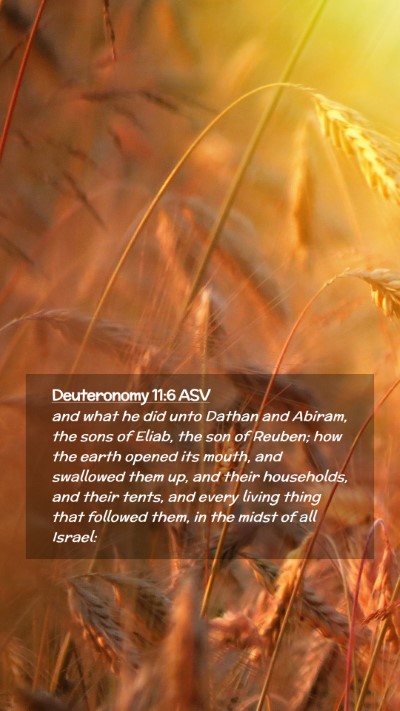 Picture 02 - Deuteronomy 11:6 ASV Mobile Phone Wallpaper - and what he did unto Dathan and Abiram, the sons - Mobile Bible Verse Wallpaper