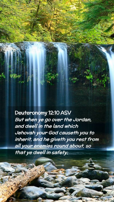 Picture 02 - Deuteronomy 12:10 ASV Mobile Phone Wallpaper - But when ye go over the Jordan, and dwell in the - Mobile Bible Verse Wallpaper