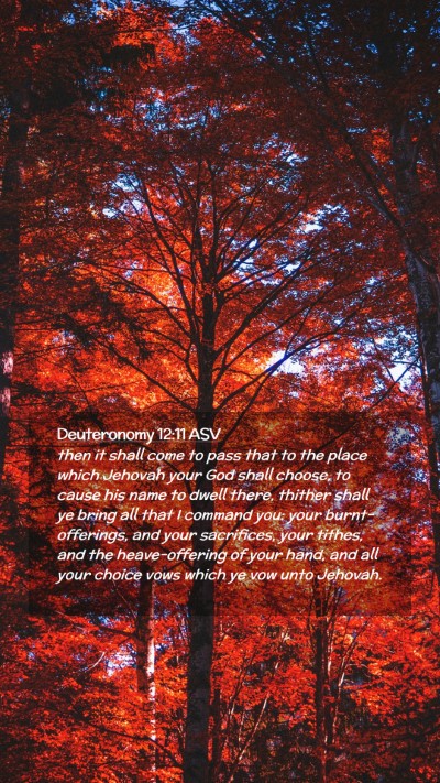 Picture 02 - Deuteronomy 12:11 ASV Mobile Phone Wallpaper - then it shall come to pass that to the place - Mobile Bible Verse Wallpaper