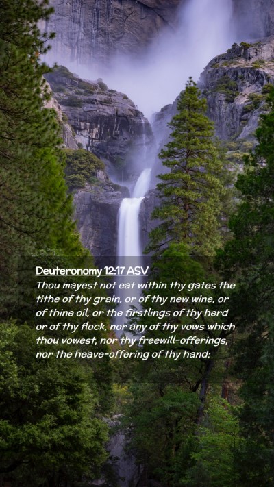 Picture 02 - Deuteronomy 12:17 ASV Mobile Phone Wallpaper - Thou mayest not eat within thy gates the tithe of - Mobile Bible Verse Wallpaper