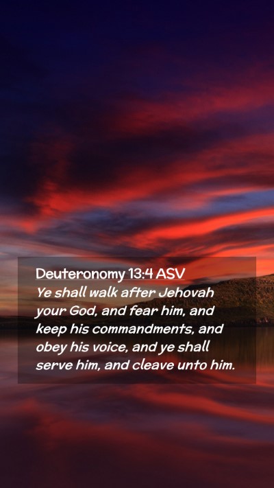 Picture 02 - Deuteronomy 13:4 ASV Mobile Phone Wallpaper - Ye shall walk after Jehovah your God, and fear - Mobile Bible Verse Wallpaper