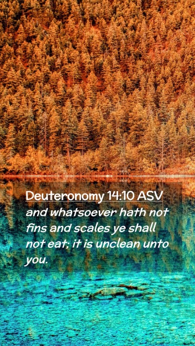 Picture 02 - Deuteronomy 14:10 ASV Mobile Phone Wallpaper - and whatsoever hath not fins and scales ye shall - Mobile Bible Verse Wallpaper