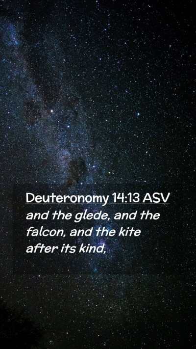 Picture 02 - Deuteronomy 14:13 ASV Mobile Phone Wallpaper - and the glede, and the falcon, and the kite after - Mobile Bible Verse Wallpaper
