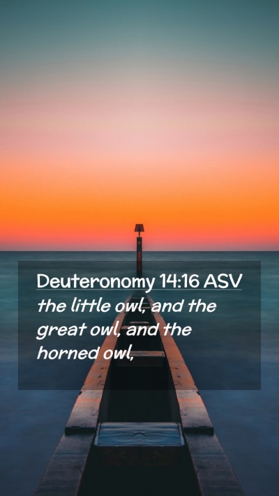 Picture 02 - Deuteronomy 14:16 ASV Mobile Phone Wallpaper - the little owl, and the great owl, and the horned - Mobile Bible Verse Wallpaper