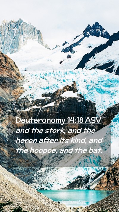 Picture 02 - Deuteronomy 14:18 ASV Mobile Phone Wallpaper - and the stork, and the heron after its kind, and - Mobile Bible Verse Wallpaper