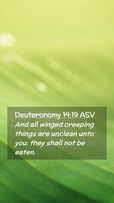 Picture 02 - Deuteronomy 14:19 ASV Mobile Phone Wallpaper - And all winged creeping things are unclean unto - Mobile Bible Verse Wallpaper