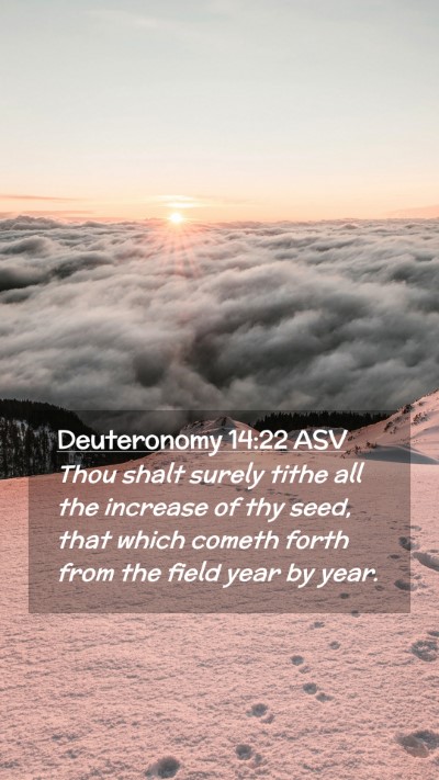 Picture 02 - Deuteronomy 14:22 ASV Mobile Phone Wallpaper - Thou shalt surely tithe all the increase of thy - Mobile Bible Verse Wallpaper