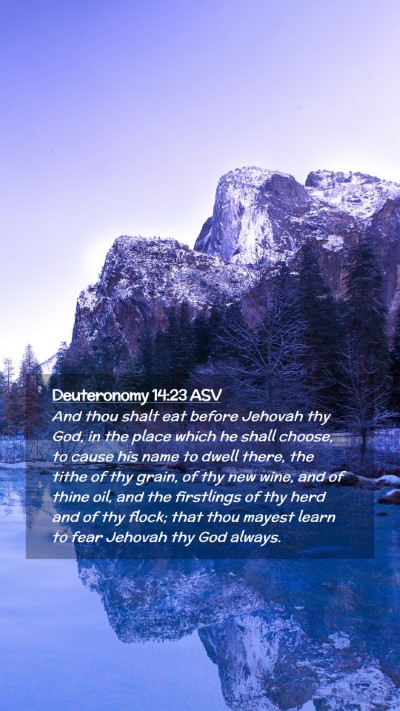 Picture 02 - Deuteronomy 14:23 ASV Mobile Phone Wallpaper - And thou shalt eat before Jehovah thy God, in the - Mobile Bible Verse Wallpaper