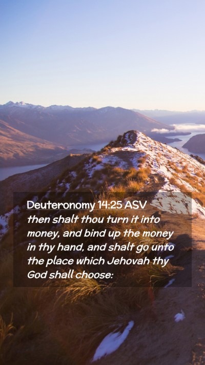 Picture 02 - Deuteronomy 14:25 ASV Mobile Phone Wallpaper - then shalt thou turn it into money, and bind up - Mobile Bible Verse Wallpaper