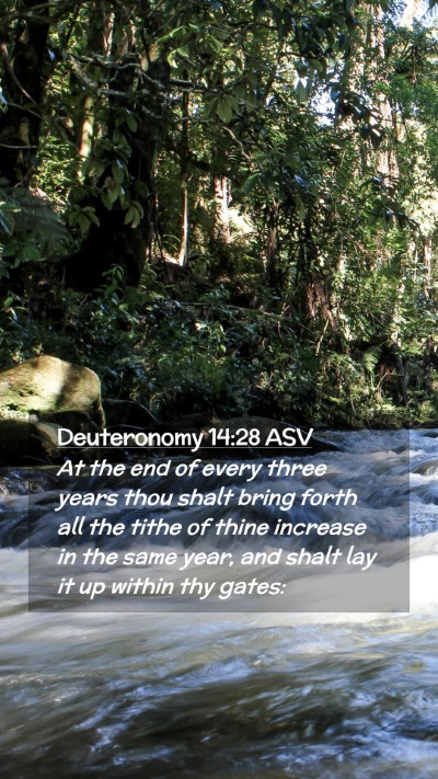 Picture 02 - Deuteronomy 14:28 ASV Mobile Phone Wallpaper - At the end of every three years thou shalt bring - Mobile Bible Verse Wallpaper