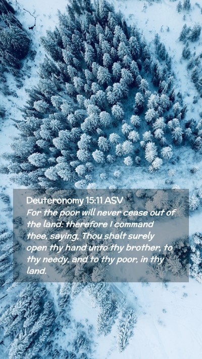 Picture 02 - Deuteronomy 15:11 ASV Mobile Phone Wallpaper - For the poor will never cease out of the land: - Mobile Bible Verse Wallpaper