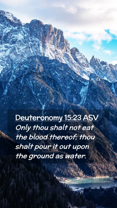 Picture 02 - Deuteronomy 15:23 ASV Mobile Phone Wallpaper - Only thou shalt not eat the blood thereof; thou - Mobile Bible Verse Wallpaper