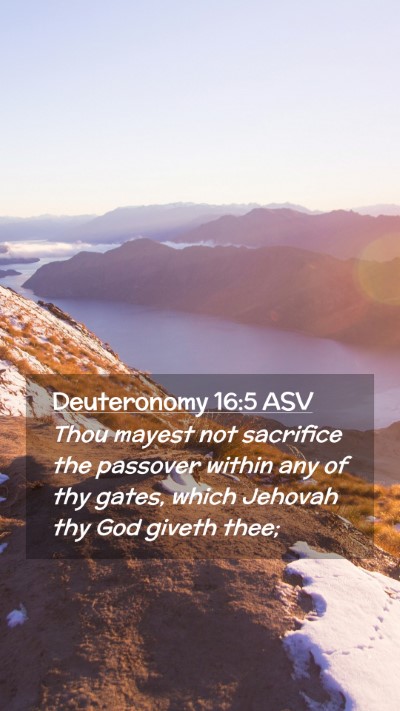 Picture 02 - Deuteronomy 16:5 ASV Mobile Phone Wallpaper - Thou mayest not sacrifice the passover within any - Mobile Bible Verse Wallpaper