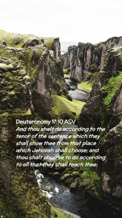 Picture 02 - Deuteronomy 17:10 ASV Mobile Phone Wallpaper - And thou shalt do according to the tenor of the - Mobile Bible Verse Wallpaper