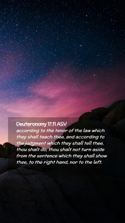 Picture 02 - Deuteronomy 17:11 ASV Mobile Phone Wallpaper - according to the tenor of the law which they - Mobile Bible Verse Wallpaper