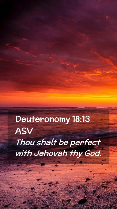 Picture 02 - Deuteronomy 18:13 ASV Mobile Phone Wallpaper - Thou shalt be perfect with Jehovah thy - Mobile Bible Verse Wallpaper