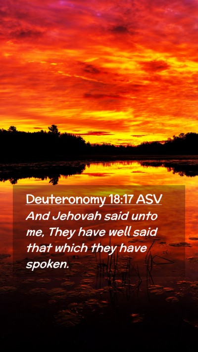 Picture 02 - Deuteronomy 18:17 ASV Mobile Phone Wallpaper - And Jehovah said unto me, They have well said - Mobile Bible Verse Wallpaper