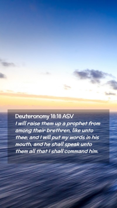 Picture 02 - Deuteronomy 18:18 ASV Mobile Phone Wallpaper - I will raise them up a prophet from among their - Mobile Bible Verse Wallpaper