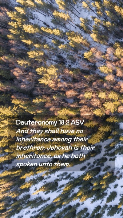 Picture 02 - Deuteronomy 18:2 ASV Mobile Phone Wallpaper - And they shall have no inheritance among their - Mobile Bible Verse Wallpaper