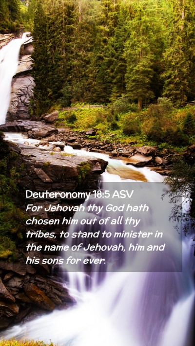 Picture 02 - Deuteronomy 18:5 ASV Mobile Phone Wallpaper - For Jehovah thy God hath chosen him out of all - Mobile Bible Verse Wallpaper