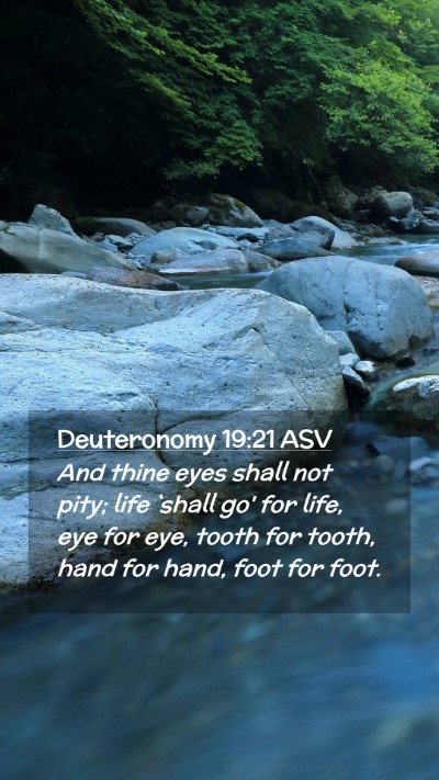 Picture 02 - Deuteronomy 19:21 ASV Mobile Phone Wallpaper - And thine eyes shall not pity; life `shall go' - Mobile Bible Verse Wallpaper
