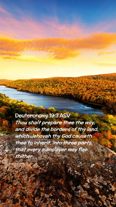 Picture 02 - Deuteronomy 19:3 ASV Mobile Phone Wallpaper - Thou shalt prepare thee the way, and divide the - Mobile Bible Verse Wallpaper
