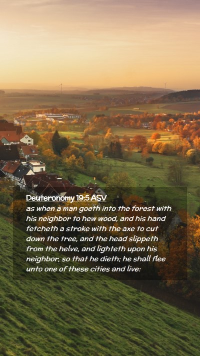 Picture 02 - Deuteronomy 19:5 ASV Mobile Phone Wallpaper - as when a man goeth into the forest with his - Mobile Bible Verse Wallpaper