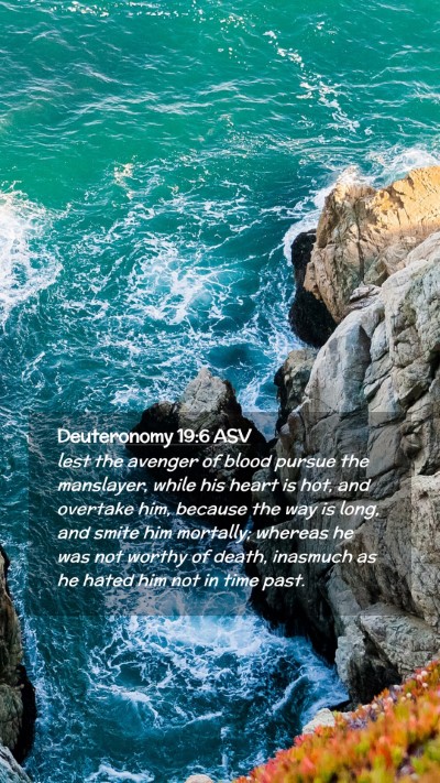 Picture 02 - Deuteronomy 19:6 ASV Mobile Phone Wallpaper - lest the avenger of blood pursue the manslayer, - Mobile Bible Verse Wallpaper