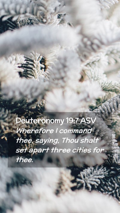 Picture 02 - Deuteronomy 19:7 ASV Mobile Phone Wallpaper - Wherefore I command thee, saying, Thou shalt set - Mobile Bible Verse Wallpaper