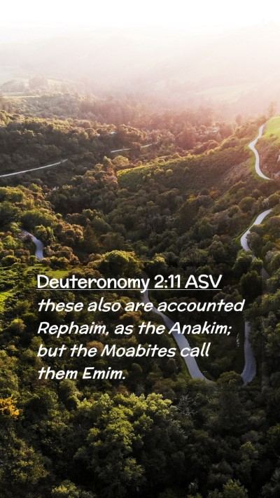 Picture 02 - Deuteronomy 2:11 ASV Mobile Phone Wallpaper - these also are accounted Rephaim, as the Anakim; - Mobile Bible Verse Wallpaper