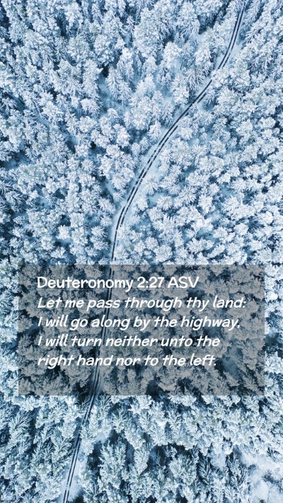 Picture 02 - Deuteronomy 2:27 ASV Mobile Phone Wallpaper - Let me pass through thy land: I will go along by - Mobile Bible Verse Wallpaper
