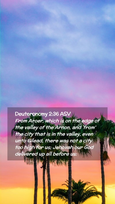 Picture 02 - Deuteronomy 2:36 ASV Mobile Phone Wallpaper - From Aroer, which is on the edge of the valley of - Mobile Bible Verse Wallpaper