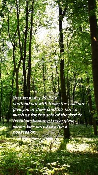 Picture 02 - Deuteronomy 2:5 ASV Mobile Phone Wallpaper - contend not with them; for I will not give you of - Mobile Bible Verse Wallpaper