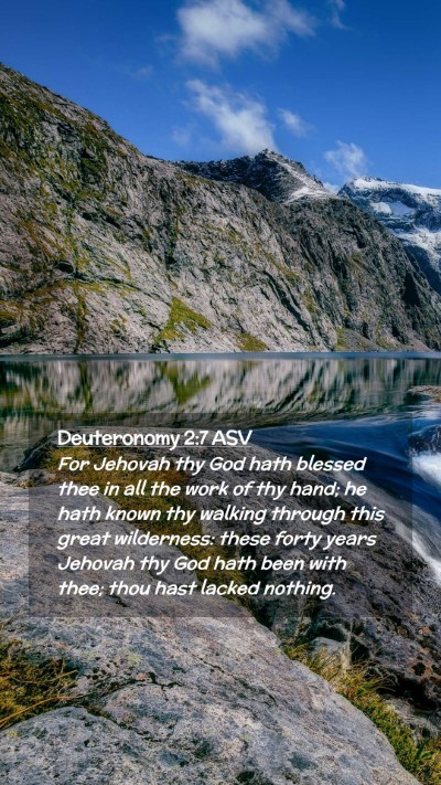 Picture 02 - Deuteronomy 2:7 ASV Mobile Phone Wallpaper - For Jehovah thy God hath blessed thee in all the - Mobile Bible Verse Wallpaper