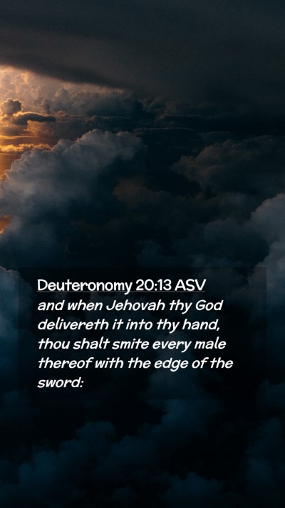Picture 02 - Deuteronomy 20:13 ASV Mobile Phone Wallpaper - and when Jehovah thy God delivereth it into thy - Mobile Bible Verse Wallpaper