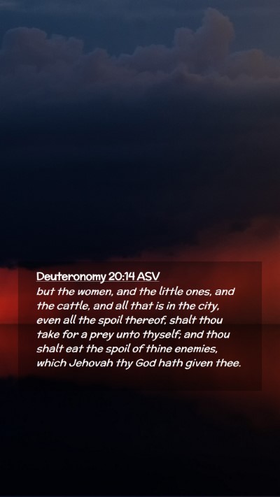 Picture 02 - Deuteronomy 20:14 ASV Mobile Phone Wallpaper - but the women, and the little ones, and the - Mobile Bible Verse Wallpaper
