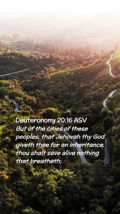 Picture 02 - Deuteronomy 20:16 ASV Mobile Phone Wallpaper - But of the cities of these peoples, that Jehovah - Mobile Bible Verse Wallpaper