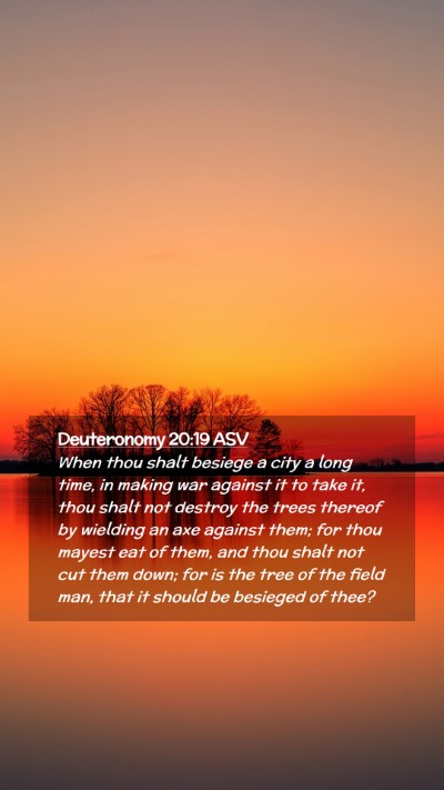 Picture 02 - Deuteronomy 20:19 ASV Mobile Phone Wallpaper - When thou shalt besiege a city a long time, in - Mobile Bible Verse Wallpaper