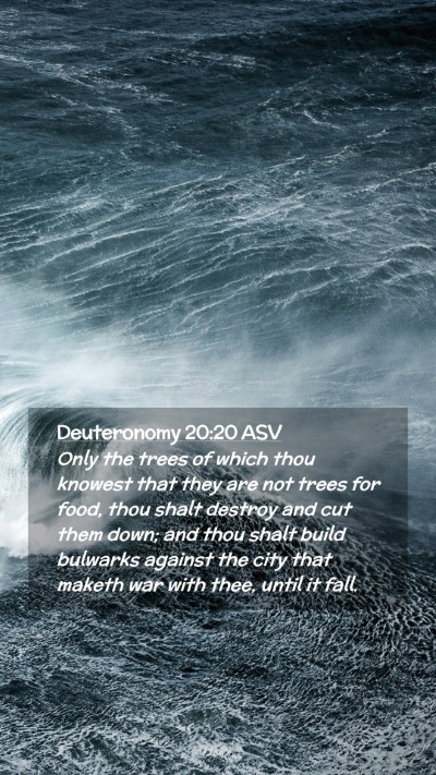 Picture 02 - Deuteronomy 20:20 ASV Mobile Phone Wallpaper - Only the trees of which thou knowest that they - Mobile Bible Verse Wallpaper