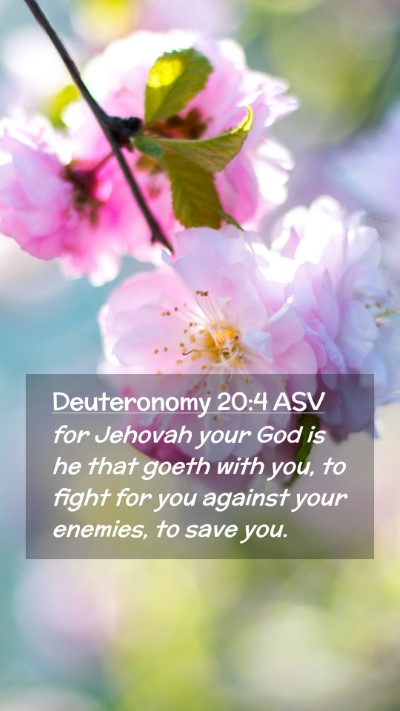 Picture 02 - Deuteronomy 20:4 ASV Mobile Phone Wallpaper - for Jehovah your God is he that goeth with you, - Mobile Bible Verse Wallpaper